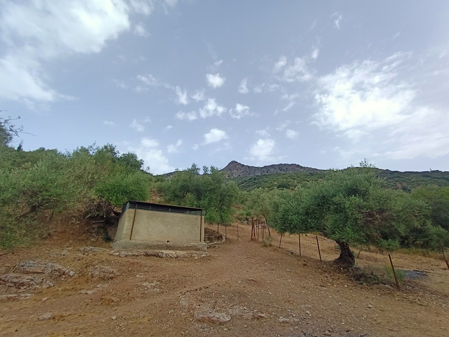 Casa de campo-Masía en Venta en Cortes De La Frontera Málaga - foto 5