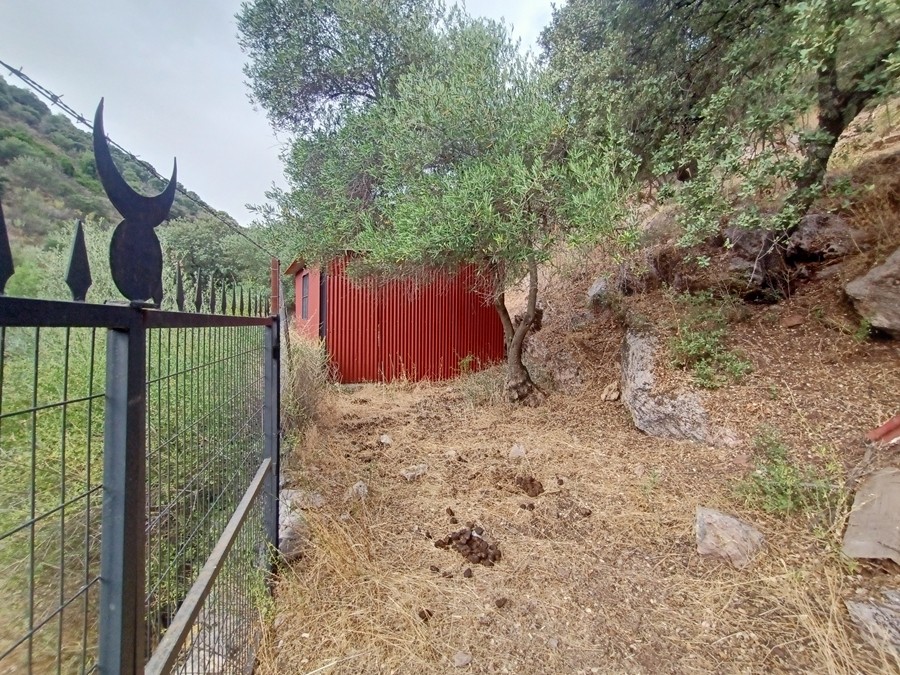 Casa de campo-Masía en Venta en Cortes De La Frontera Málaga - foto 8