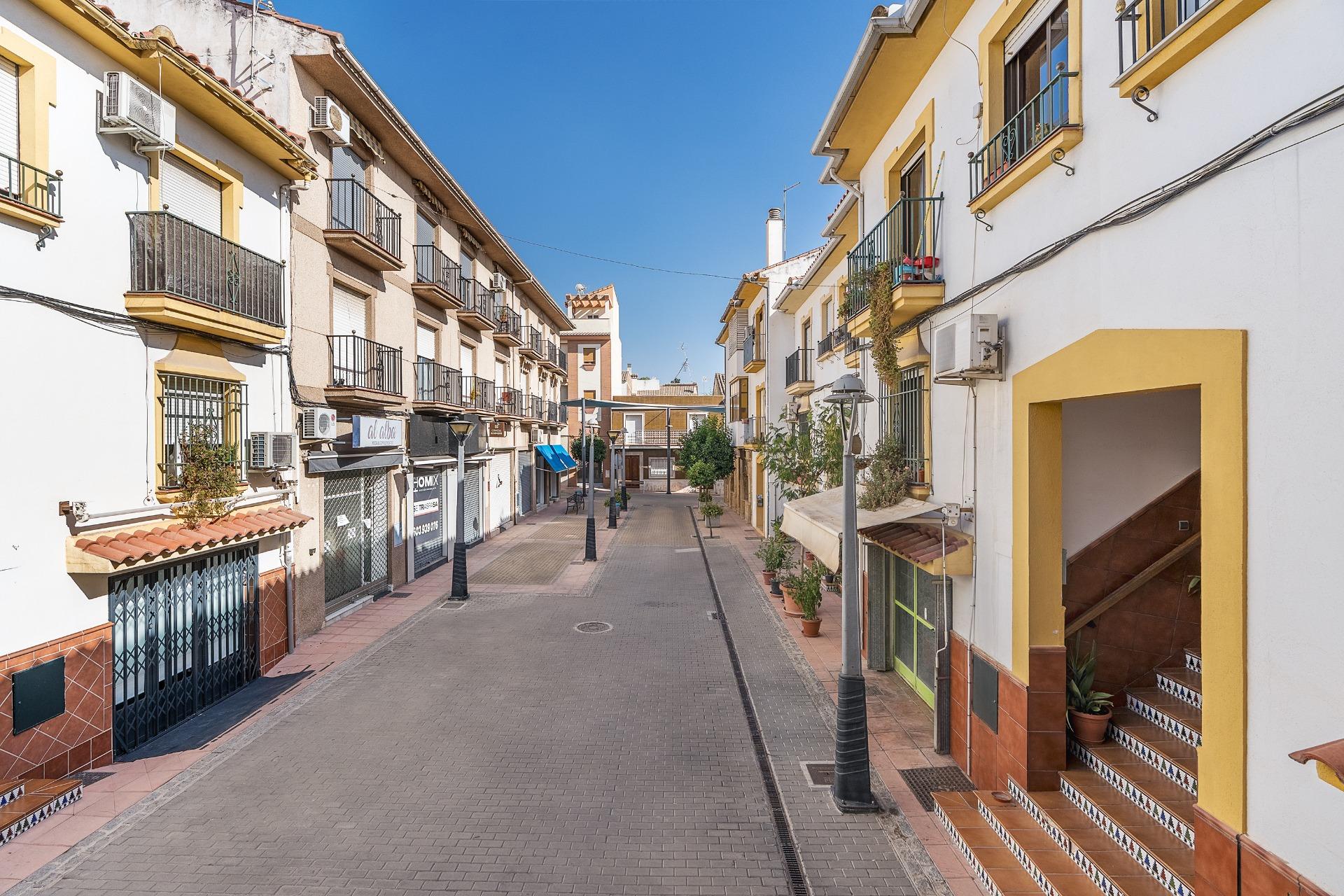 PRECIOSA CASA ADOSADA EN EL CENTRO DE PELIGROS - foto 36