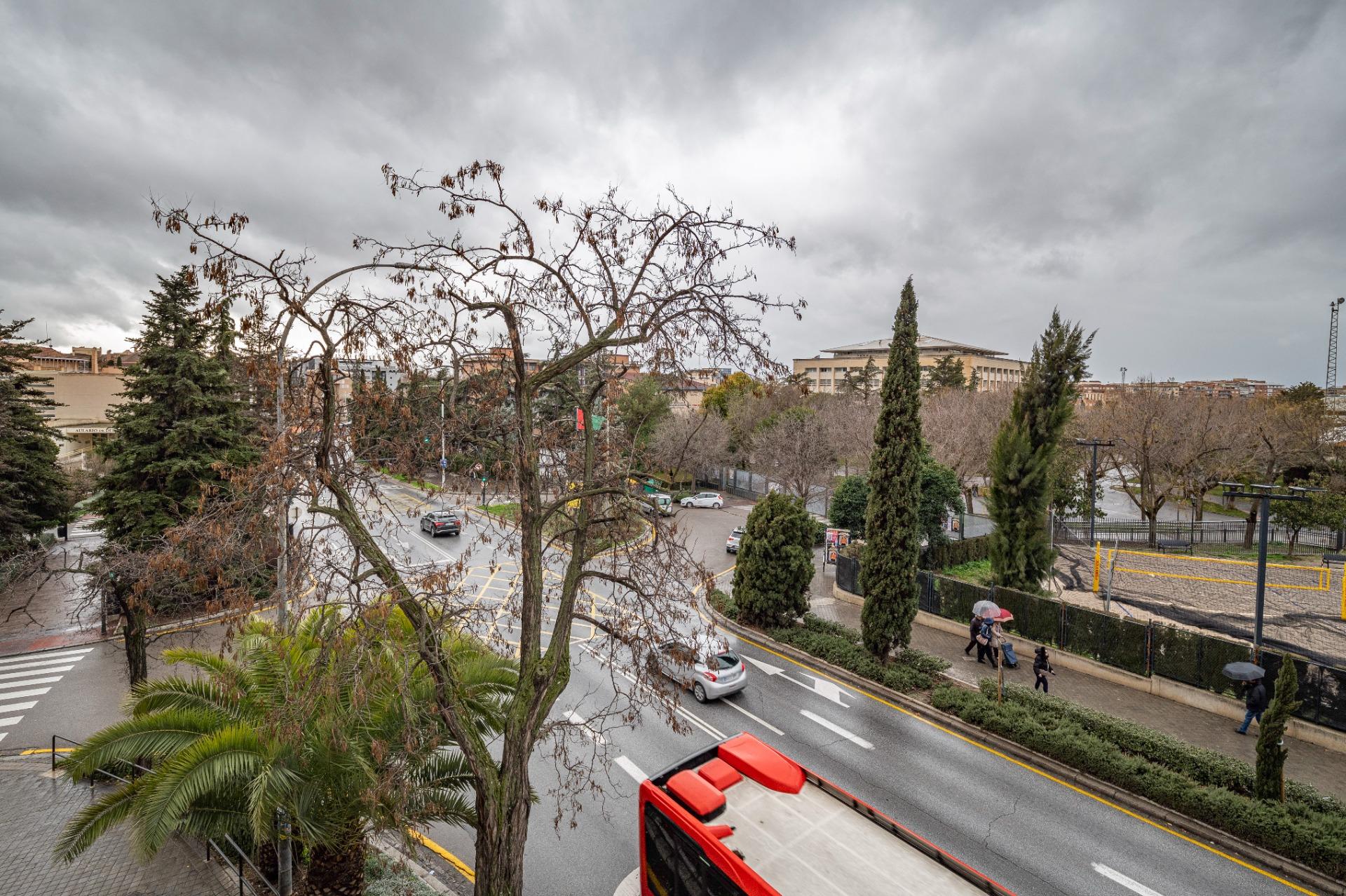 Gran Piso Reformado en Constitución, Frente a Paseillos Univ - foto 45