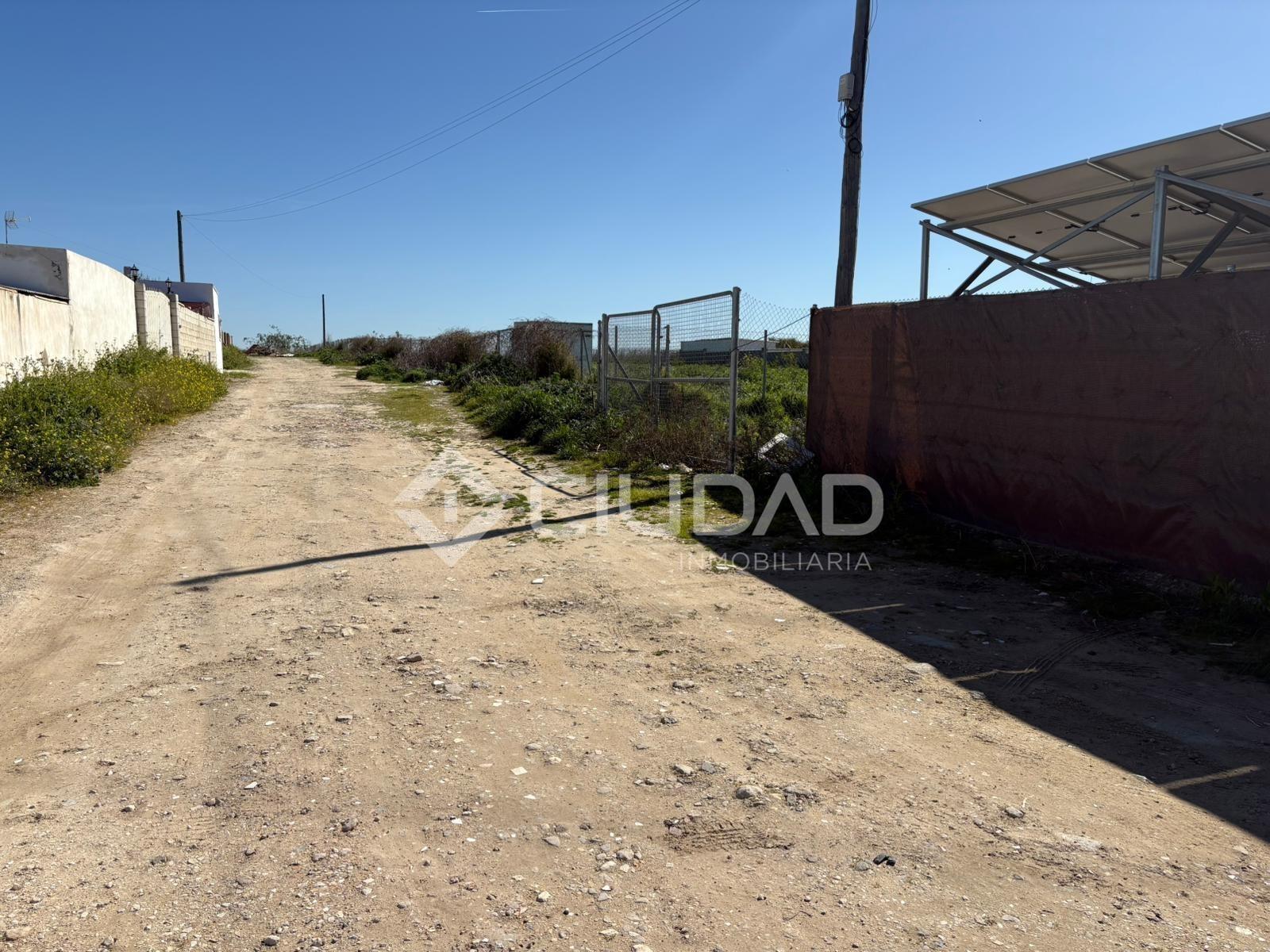 Parcela rústica en Cam. Cortijillo (Frente  a Las Dunas) - foto 4