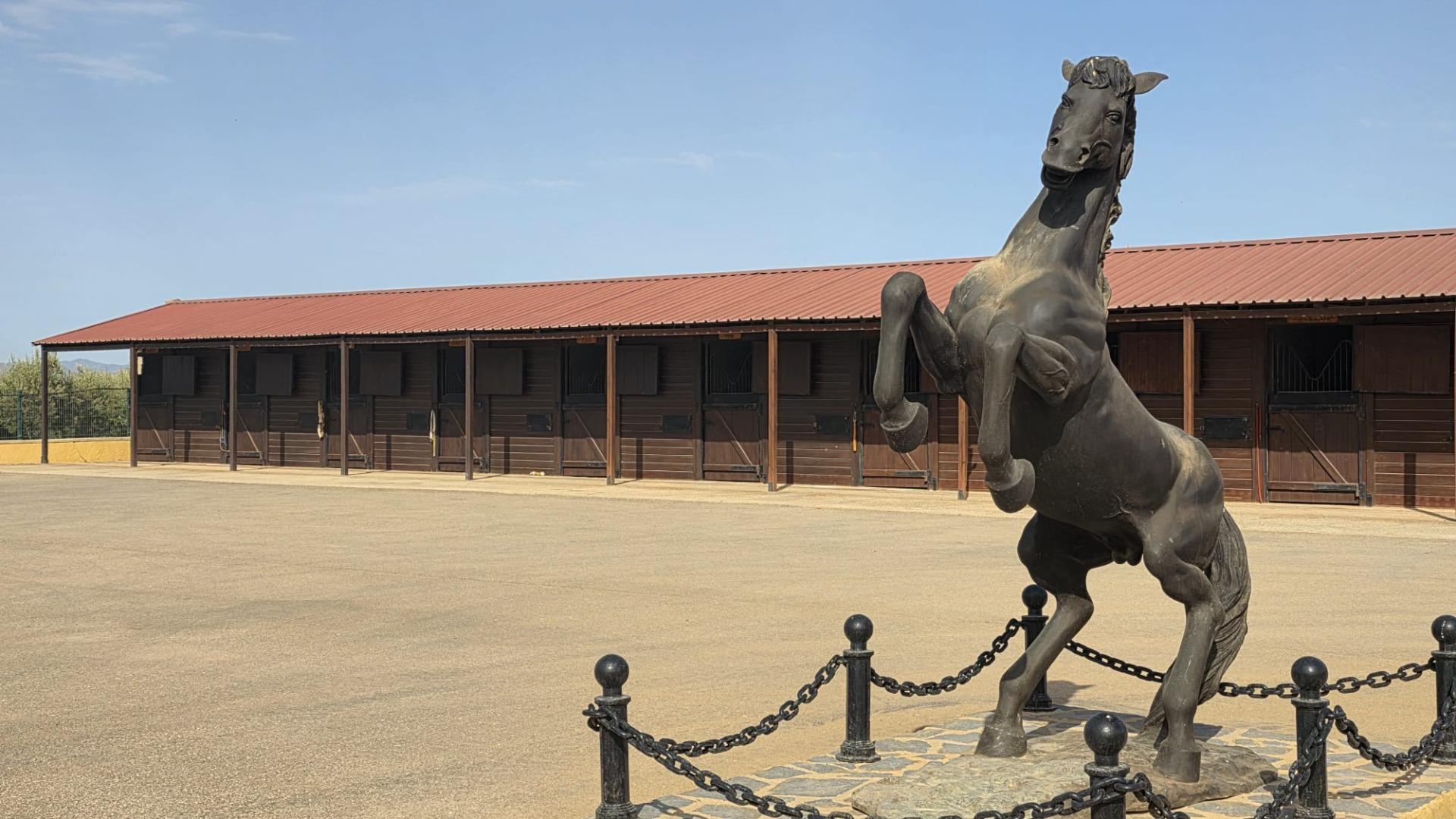 Finca ecuestre con Licencia para 40 caballos en Cartagena - foto 2