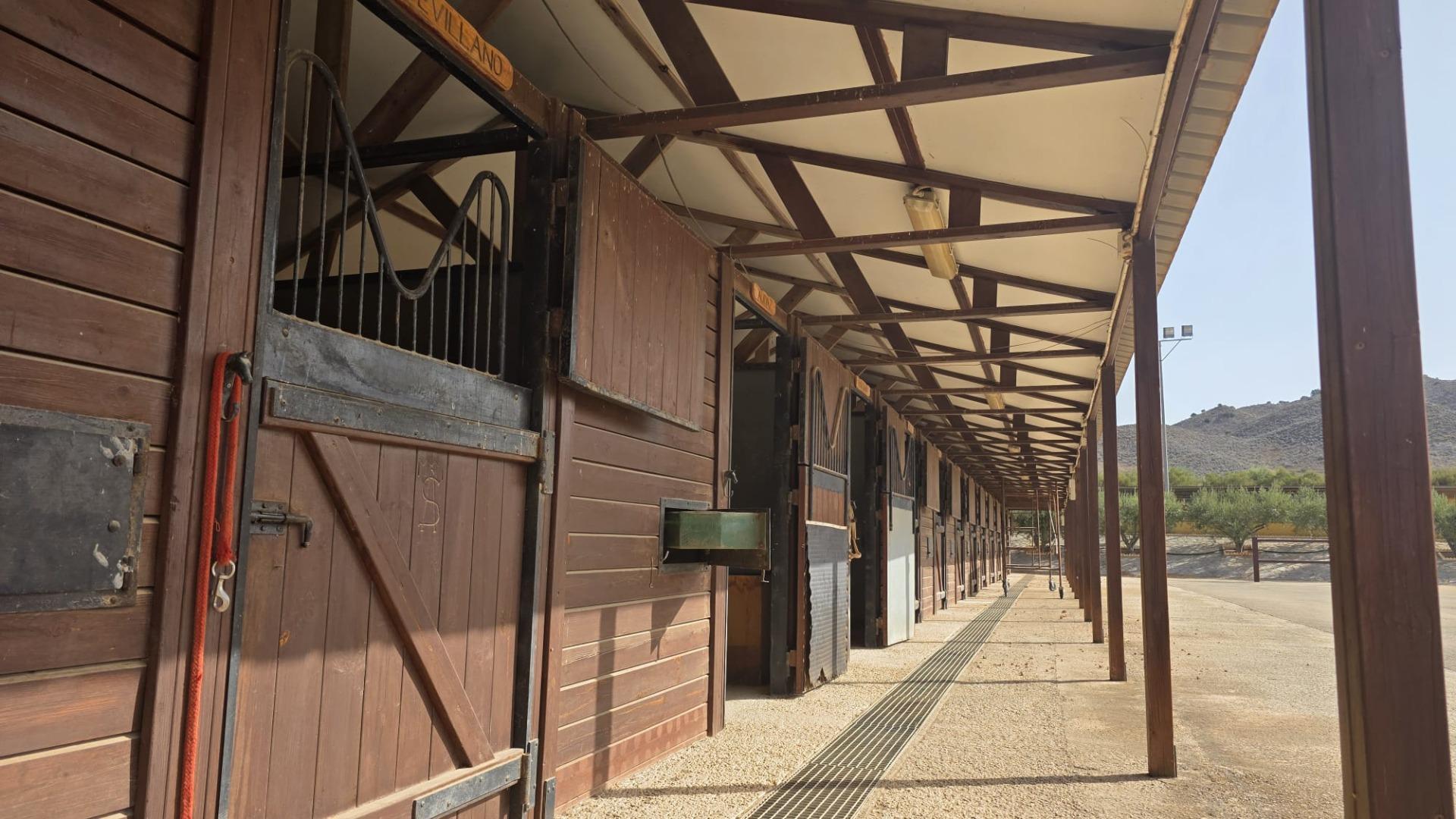 Finca ecuestre con Licencia para 40 caballos en Cartagena - foto 4