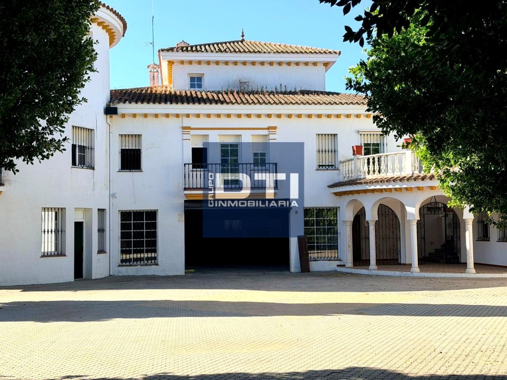 ESPECTACULAR FINCA CON 6 VIVIENDAS, PISCINA, AMPLIOS JARDINE - foto 2
