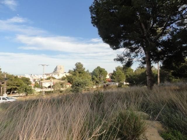 Terreno urbano en venta - Gargasindi - foto 4