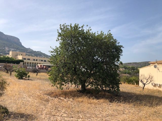 Parcela en venta - Calpe - foto 3