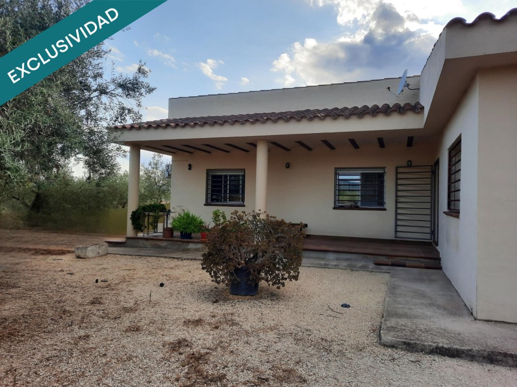 Finca con vivienda y olivar en producción, a minutos de Tort - foto 5