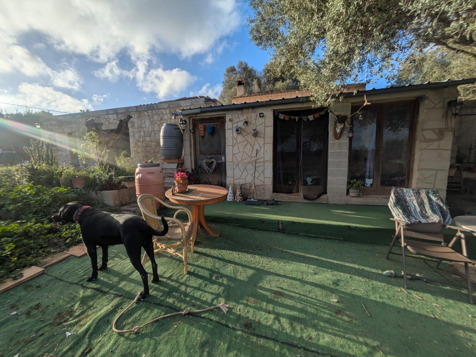 EN EXCLUSIVA - Pequeña Finca Rústica en Montuïri con Casa de 1 dormitorio