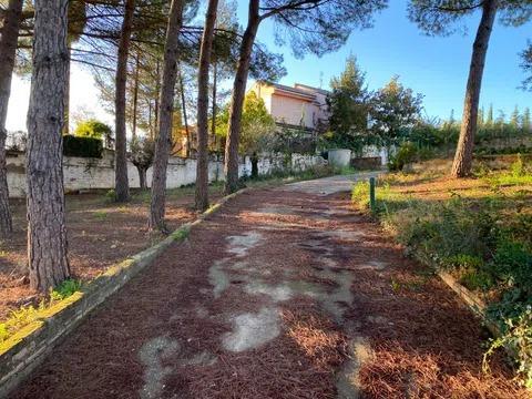 Exclusiva parcela Urbana en avda. del Brillante - Una Ubicac - foto 3