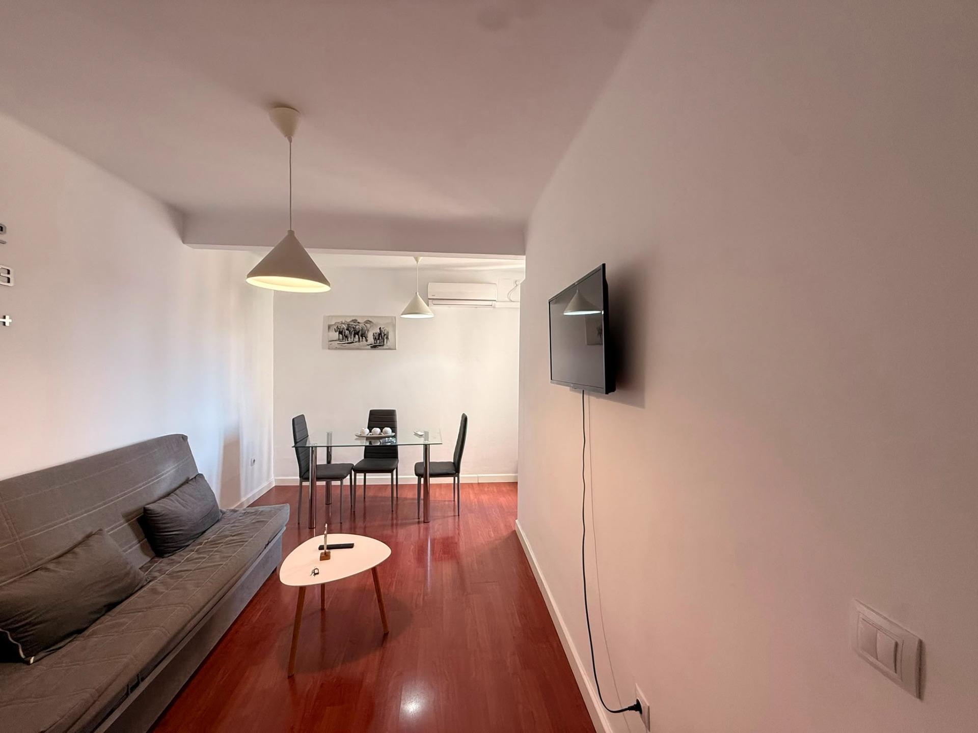APARTAMENTO REFORMADO CON LICENCIA TURÍSTICA JUNTO AL AYUNTA - foto 2