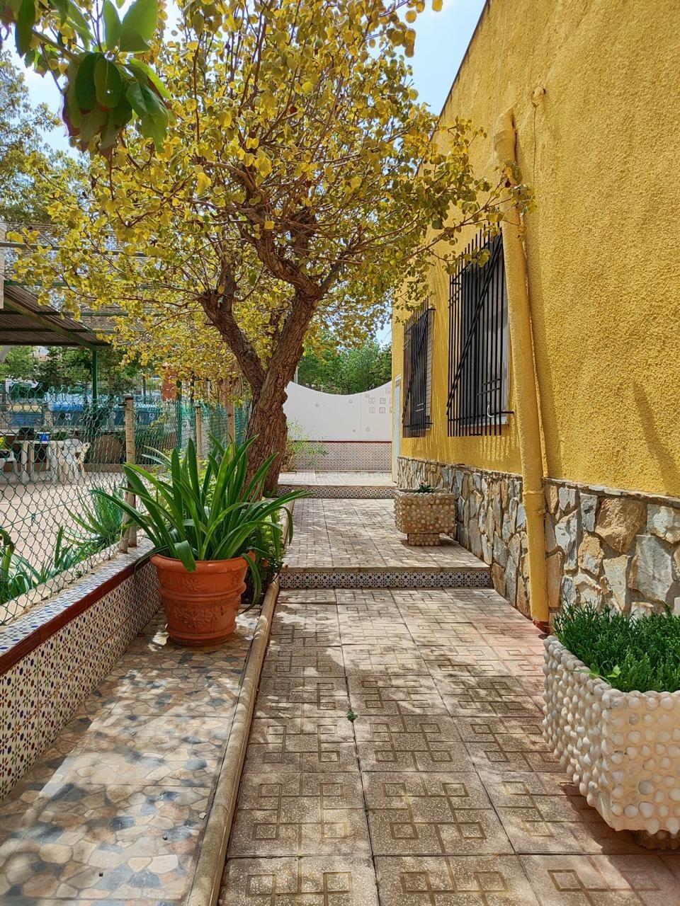 AMPLIA VIVIENDA CON PARCELA DE 400 M2 - foto 3