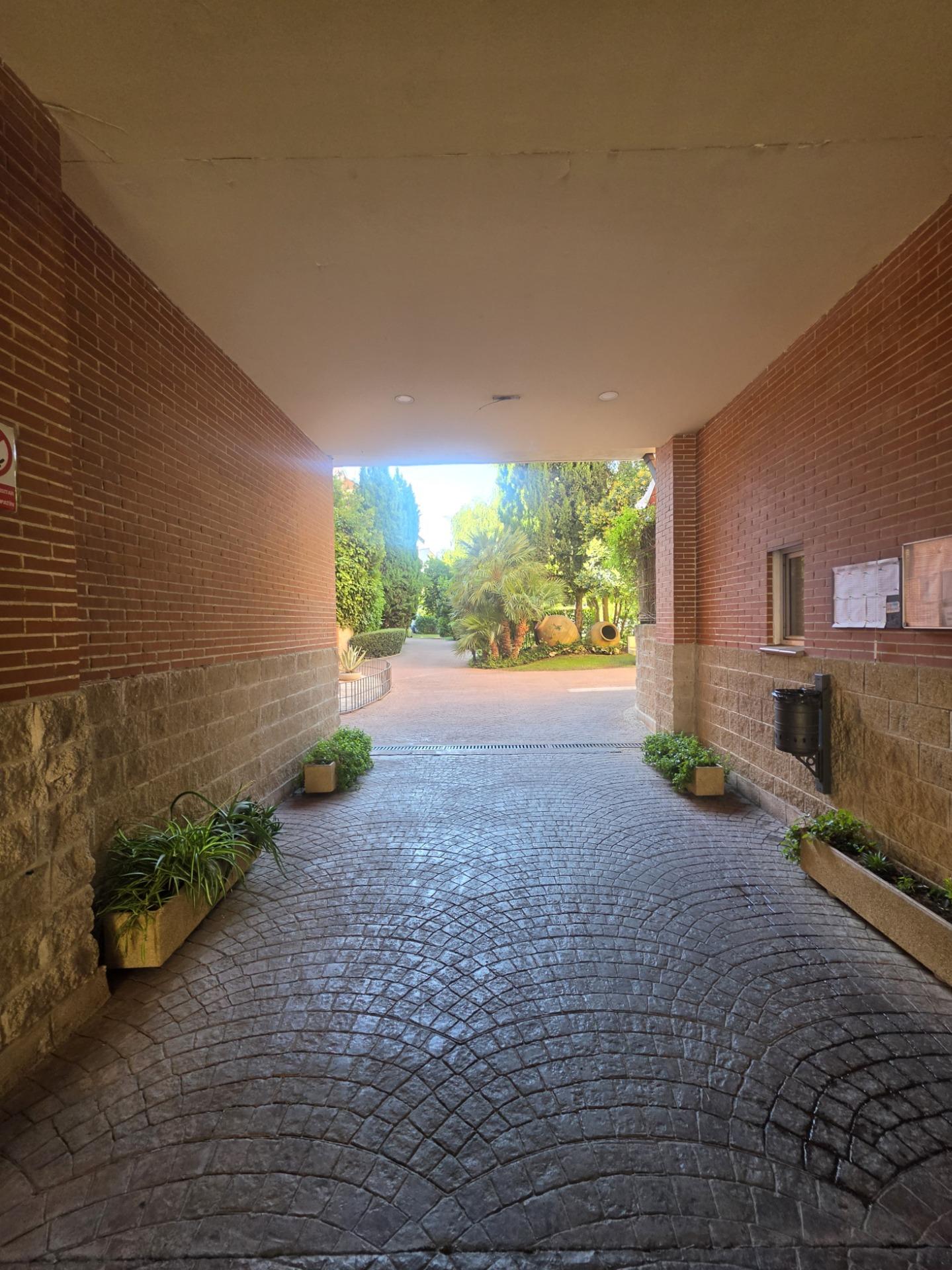BAJO CON TERRAZA - foto 4
