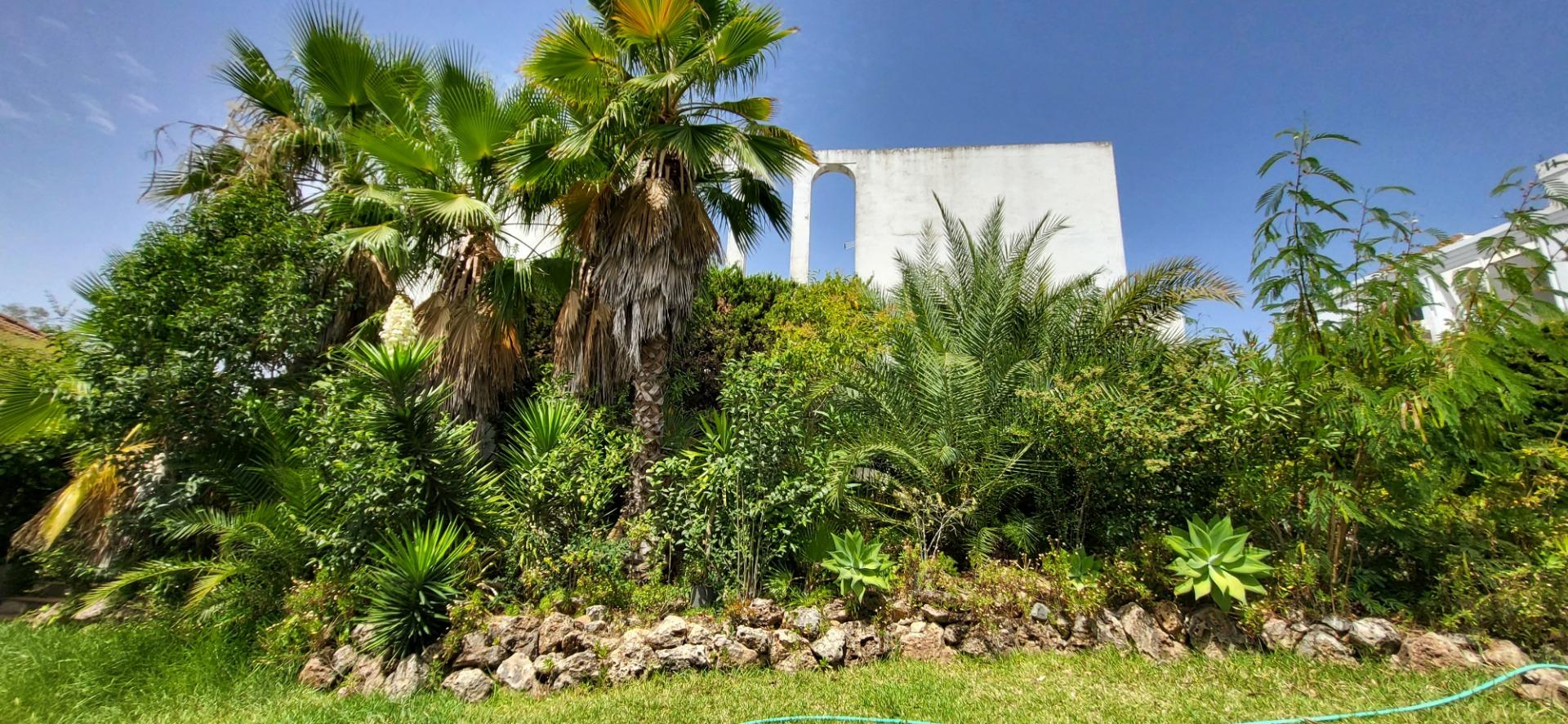 Villa con gran potencial de reforma en Las Brisas, Nueva And - foto 2