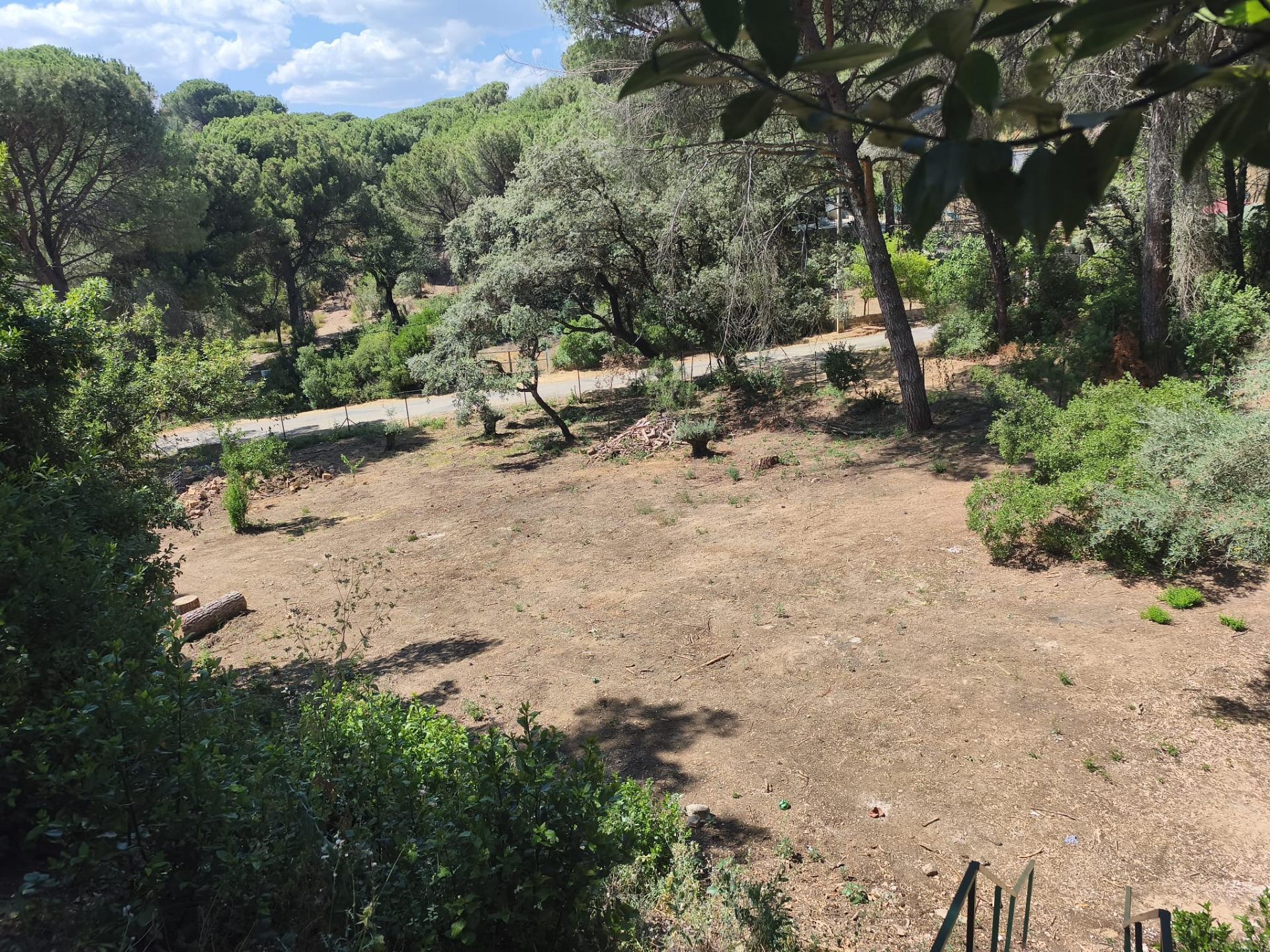 ALQUILER VACACIONAL "FINCA EL LAUREL" EN UN ENTORNO NATURAL  - foto 4