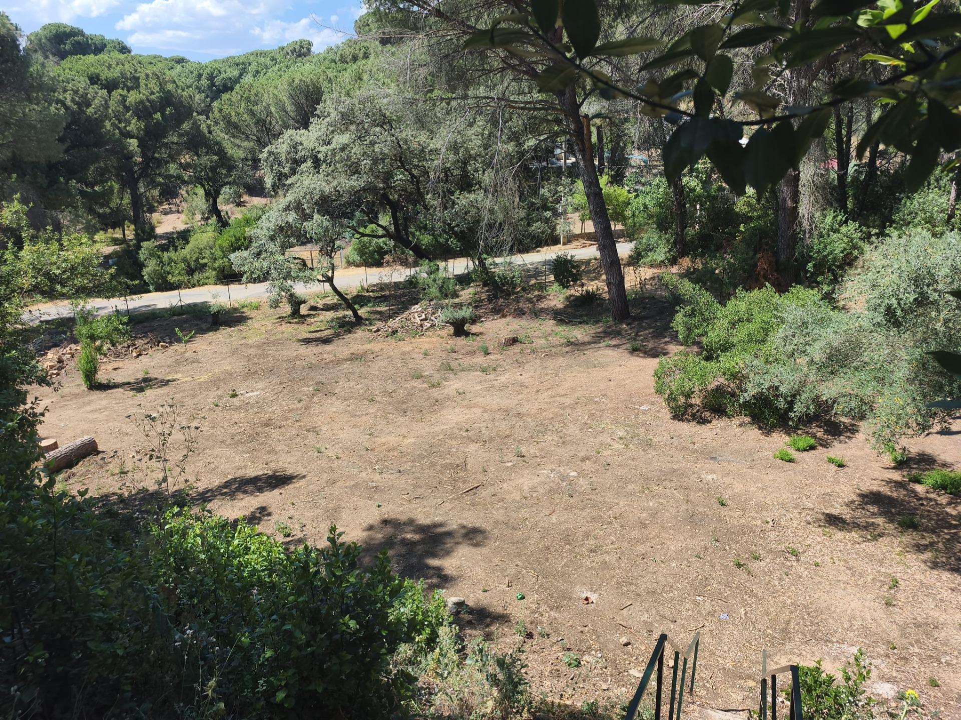 ALQUILER VACACIONAL "FINCA EL LAUREL" EN UN ENTORNO NATURAL  - foto 5