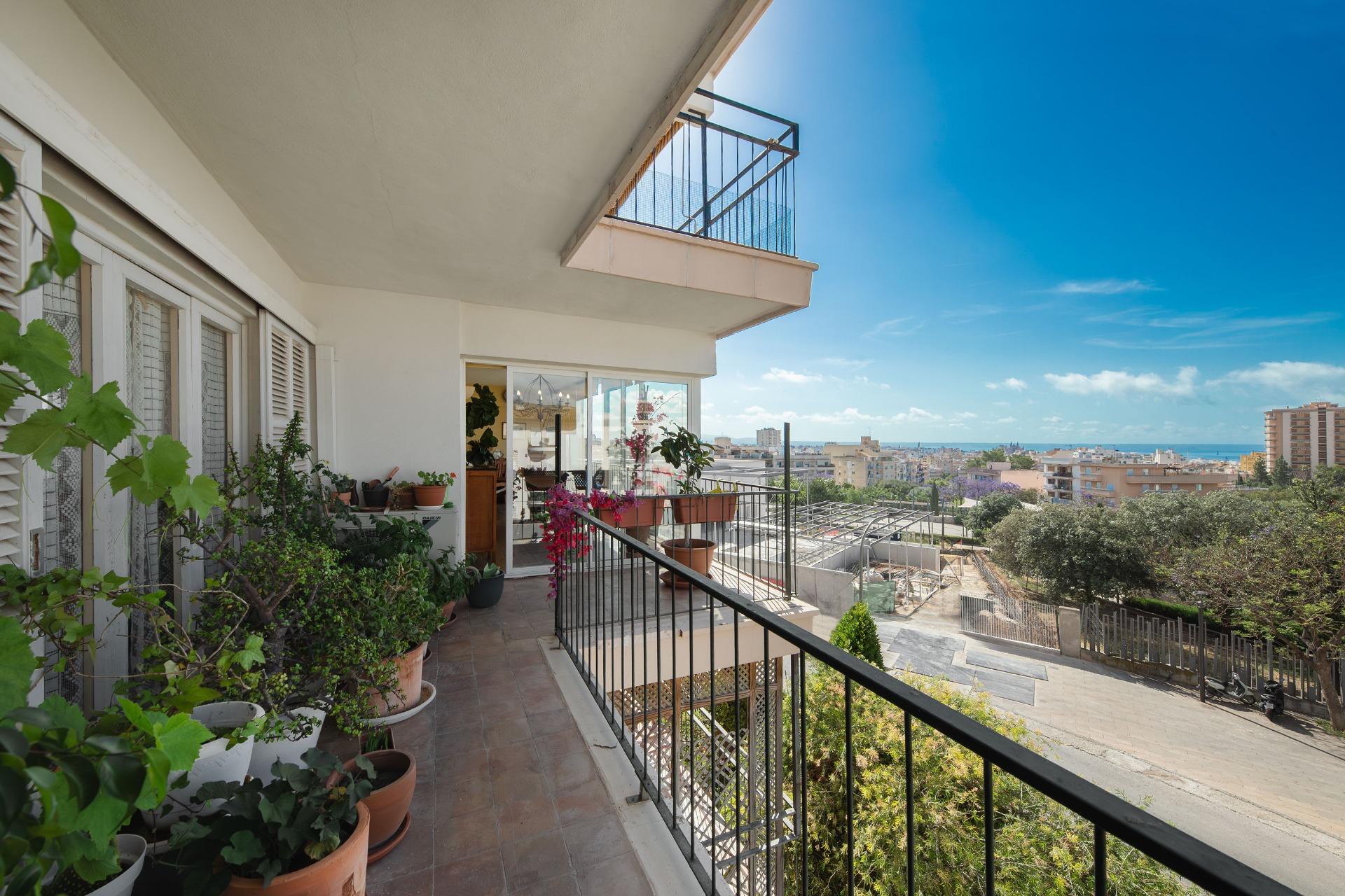 VENTA PISO SON DAMETO - foto 2