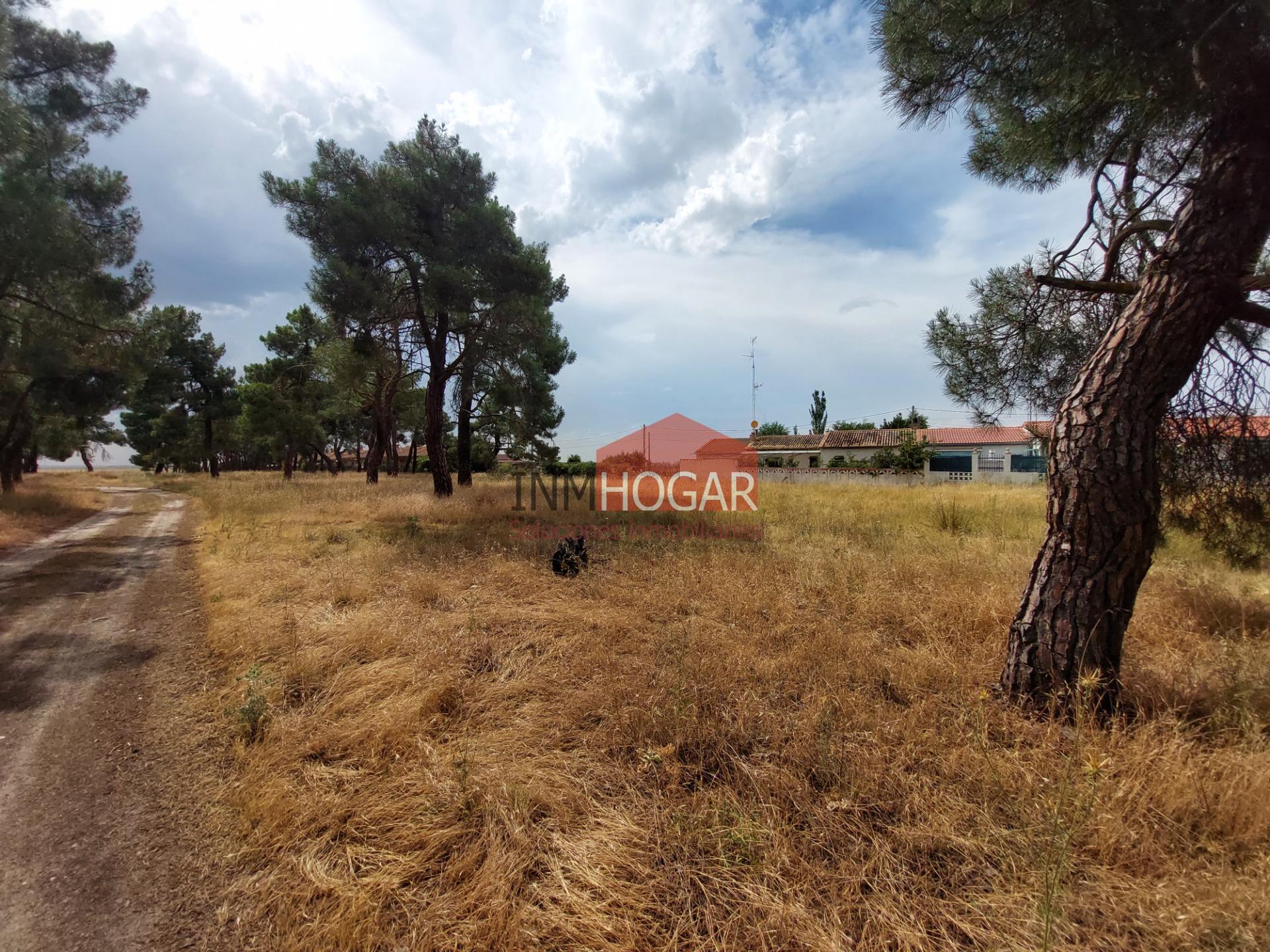 ¡Oportunidad única para vecinos de Valpinos! Terreno urbano  - foto 4