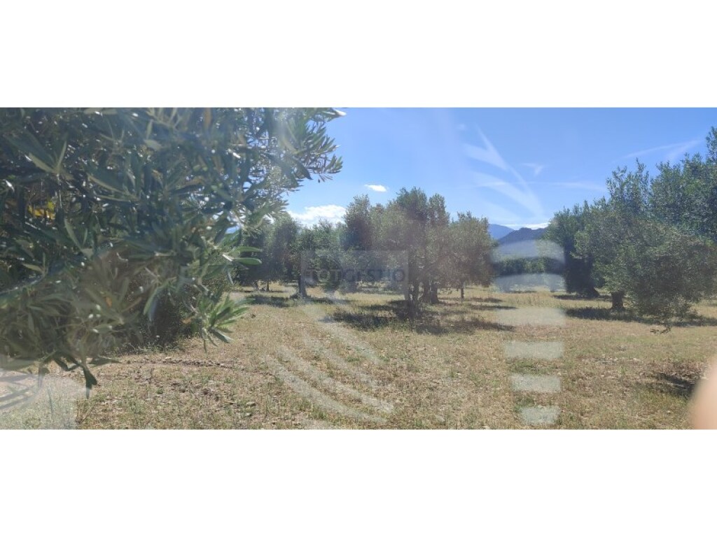 Parcela en Venta en Cantallops Girona