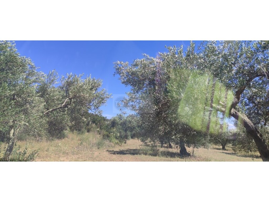 Parcela en Venta en Cantallops Girona - foto 2