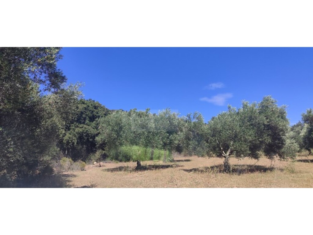 Parcela en Venta en Cantallops Girona - foto 4