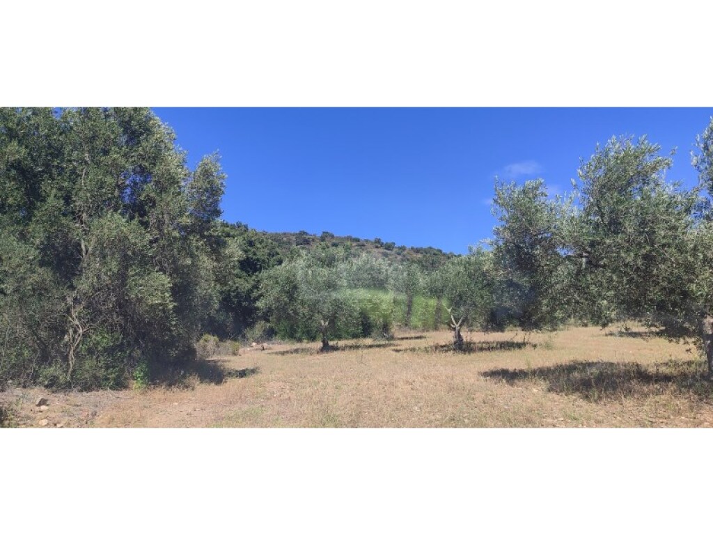 Parcela en Venta en Cantallops Girona - foto 6