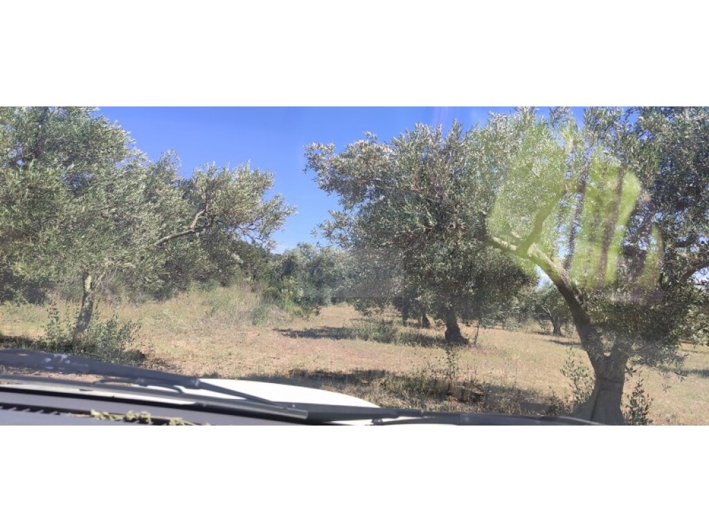 Parcela en Venta en Cantallops Girona - foto 8